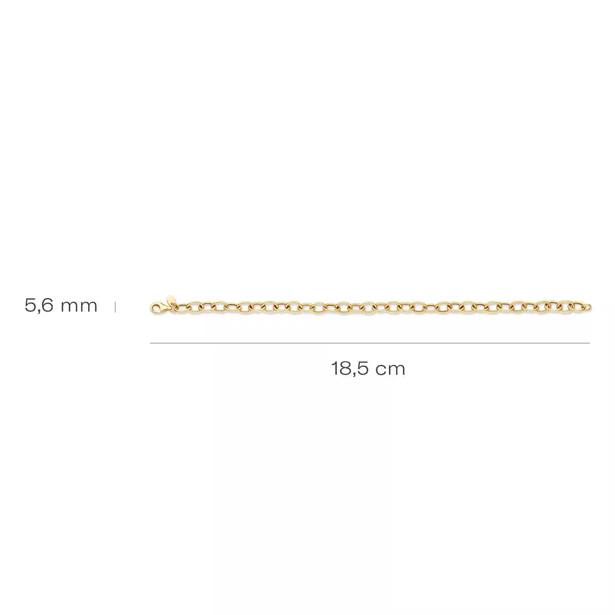 Armband Elaris – Gelbgold 585, stilvolles Jasseron-Glied